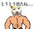 楓ペイズリー