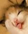 うめ
