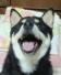 えりか