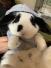 SoraMasaHaru