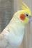 うめちゃん