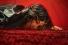 ごうちゃん