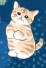 ふぁみにゃん