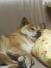 ゆたこ