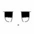 みょん