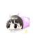 黒猫カナ