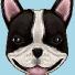 ND
