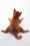 わんこ