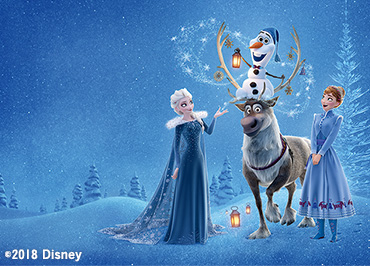 アナと雪の女王/家族の思い出