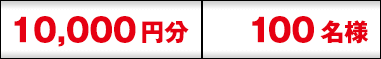 10,000円 100名様