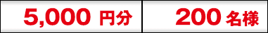5,000円 100名様