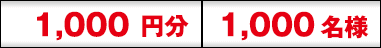 1,000円 1,000名様