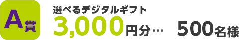 A賞：選べるデジタルギフト　3000円分…500名様