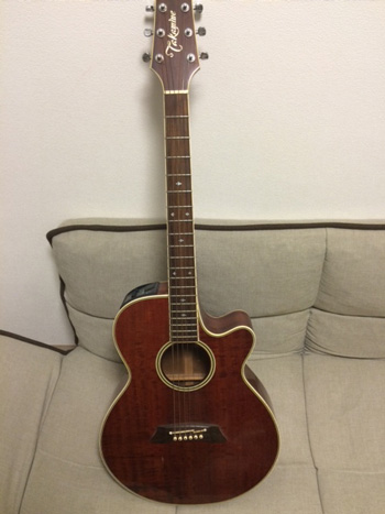 TAKAMINE PT-106